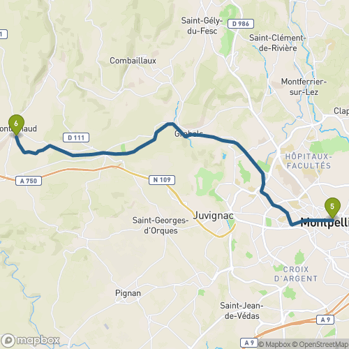 Carte du parcours Montpellier